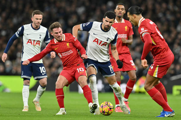 远的养成目 远的养成目